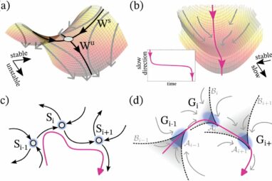 Balancing instability and robustness: New mathematical framework ...