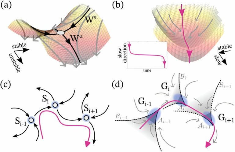 Balancing instability and robustness: New mathematical framework ...