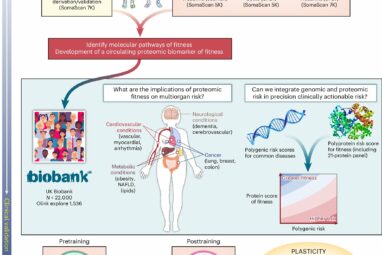 Blood test measuring protein levels could provide snapshot of ...