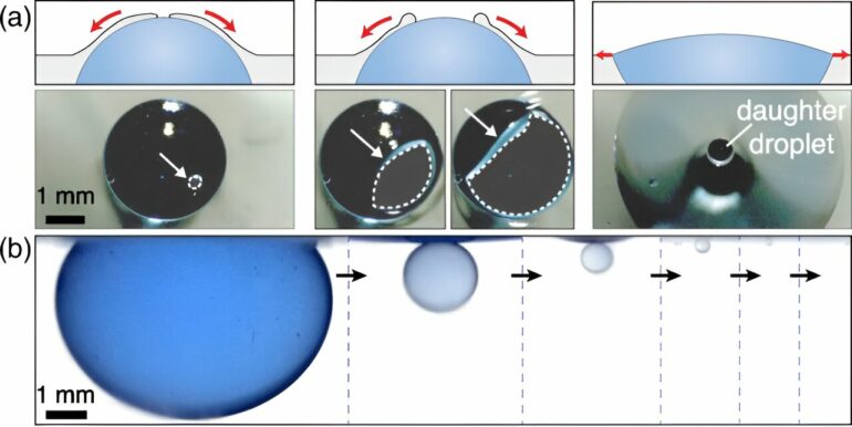 Bursting of underwater oil drops: How pollution may remain in ...