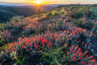 California a botanical and climate change hot spot