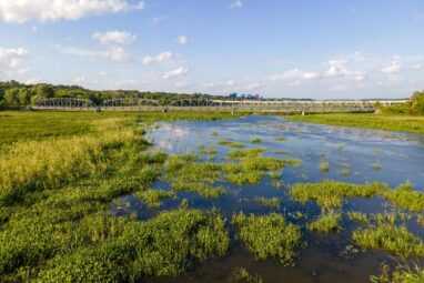 Climate change will disrupt inland wetlands in North America ...