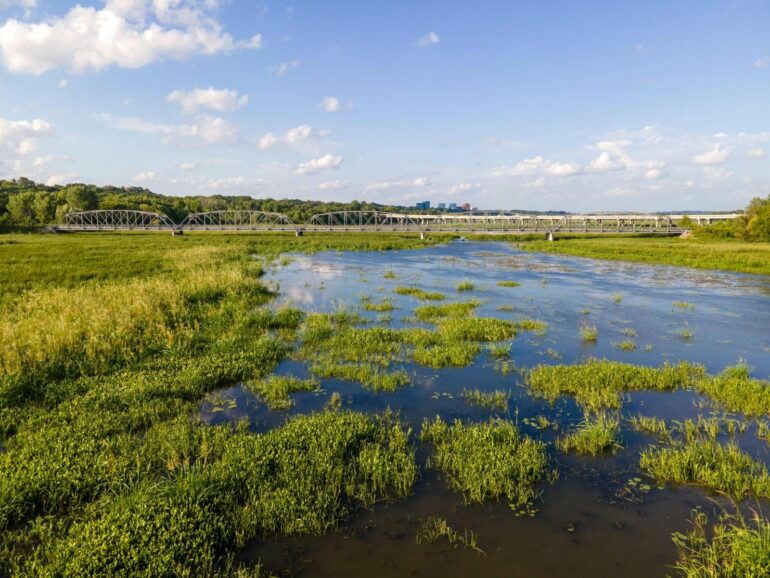 Climate change will disrupt inland wetlands in North America ...