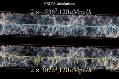 Dark matter seen through forest: Study examines matter ...