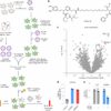 Developing new methods for targeted protein degradation