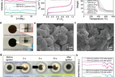 Engineers develop advanced solid-state electrolytes for high ...