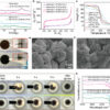 Engineers develop advanced solid-state electrolytes for high ...