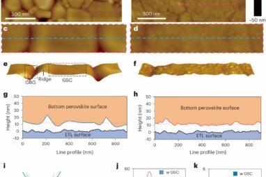 Engineers eliminate surface concavities to produce more efficient ...