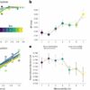 Experiments reveal that image memorability can sharpen our sense ...