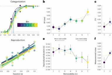 Experiments reveal that image memorability can sharpen our sense ...