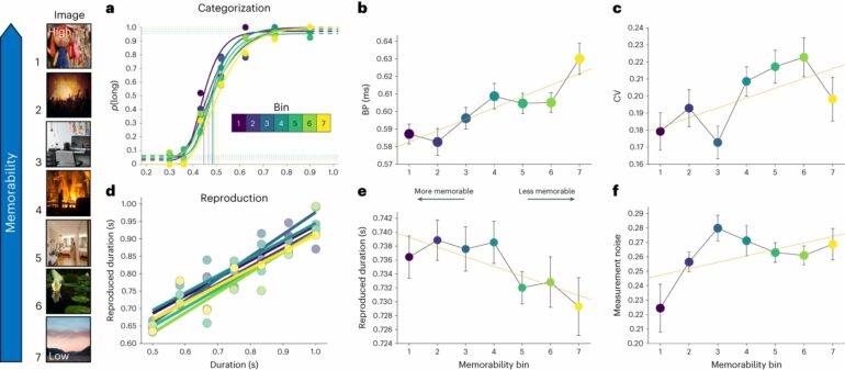 Experiments reveal that image memorability can sharpen our sense ...