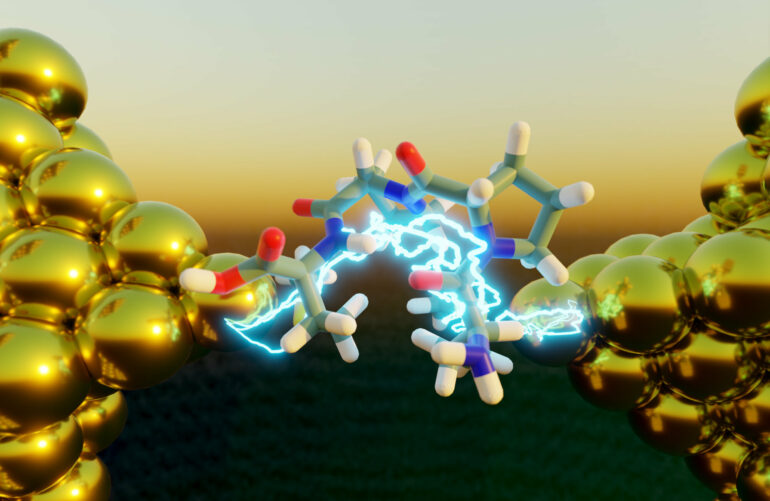 Folded peptides are more electrically conductive than unfolded ...