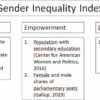 Gender inequality across US states revealed by new tool