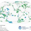 Global study demonstrates benefit of marine protected areas to ...