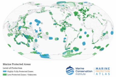 Global study demonstrates benefit of marine protected areas to ...