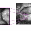 Ground conditions can impact lunar swirls, study finds