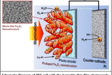 Wormlike hematite photoanode breaks the world-record for solar ...