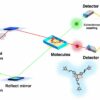 High-speed camera for molecules: Entangled photons enable Raman ...