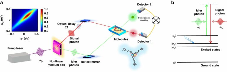 High-speed camera for molecules: Entangled photons enable Raman ...