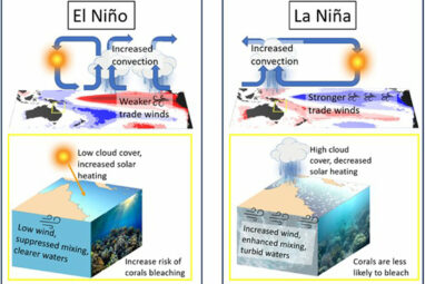 How climate patterns contribute to coral bleaching in the Great ...