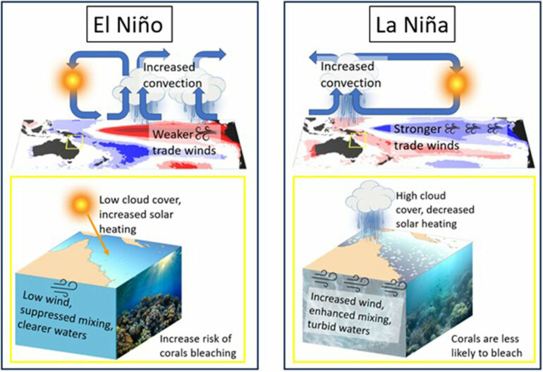 How climate patterns contribute to coral bleaching in the Great ...