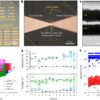 International team creates high-frequency switch for future 6G ...