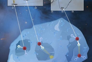 JWST sheds light on the structure of interstellar water ice