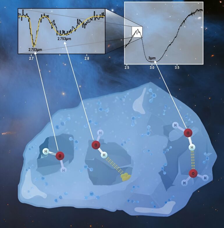 JWST sheds light on the structure of interstellar water ice