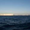 Mega-iceberg melt affects important marine ecosystem