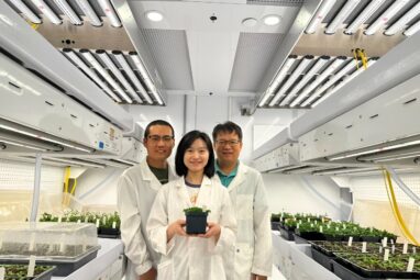 MicroRNA study sets stage for crop improvements