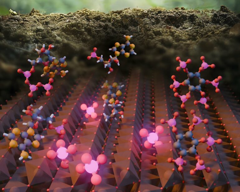 Minerals play newly discovered role in Earth's phosphorus cycle