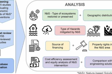 Nature-based solutions to disaster risk from climate change are ...