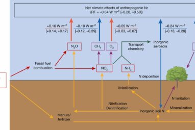 Net effects of man-made nitrogen attenuate global warming ...