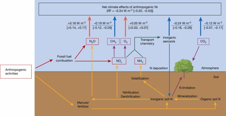 Net effects of man-made nitrogen attenuate global warming ...