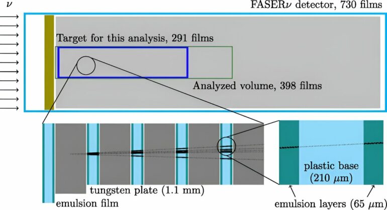 Neutrino interaction rates measured at unprecedented energies