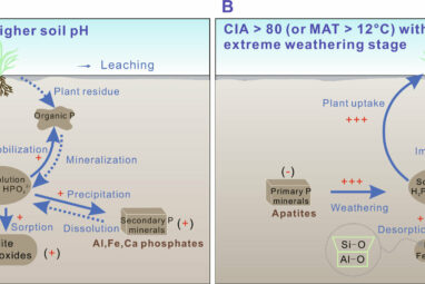 New dataset reveals accelerated global soil phosphorus release at ...