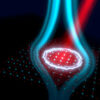 New experiment investigates light-induced Meissner effect in ...