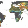 New research identifies ecosystems that could be threatened by ...