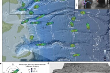 New study reveals new intricate behaviors of deep-sea currents