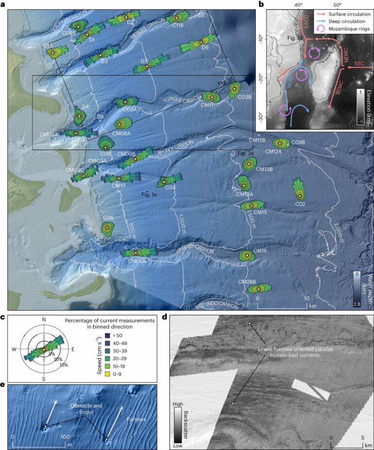 New study reveals new intricate behaviors of deep-sea currents