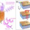 New technique offers unprecedented control over light at terahertz ...