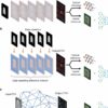 New work sheds light on nonlinear encoding in diffractive optical ...