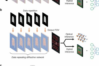 New work sheds light on nonlinear encoding in diffractive optical ...
