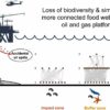 Oil and gas extraction causes pollution to spike 10,000%