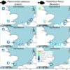 Plaice may have been most popular flatfish on dinner tables in ...