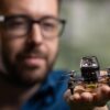 Researchers create insect-inspired autonomous navigation strategy ...