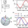 Researchers demonstrate how to build 'time-traveling' quantum sensors