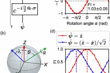 Researchers demonstrate how to build 'time-traveling' quantum sensors