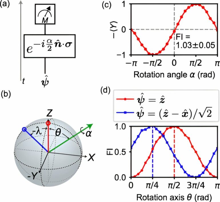 Researchers demonstrate how to build 'time-traveling' quantum sensors