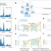 Researchers draw insights from COVID-19 to inform improved health ...